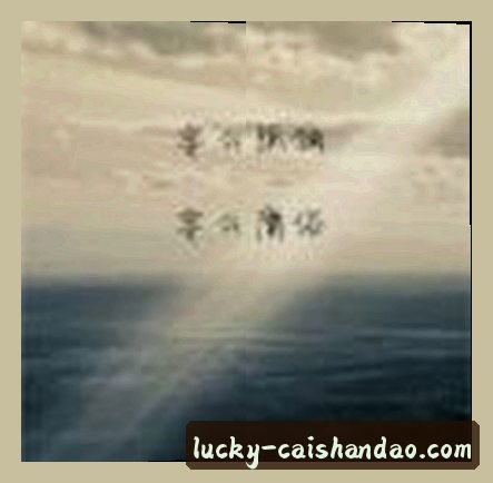 赵敏